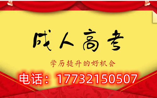 干貨！備考必讀，成考不踩雷！